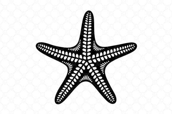 Starfish SVG, Starfish Silhouette, 037: A Designer's Real-World Review